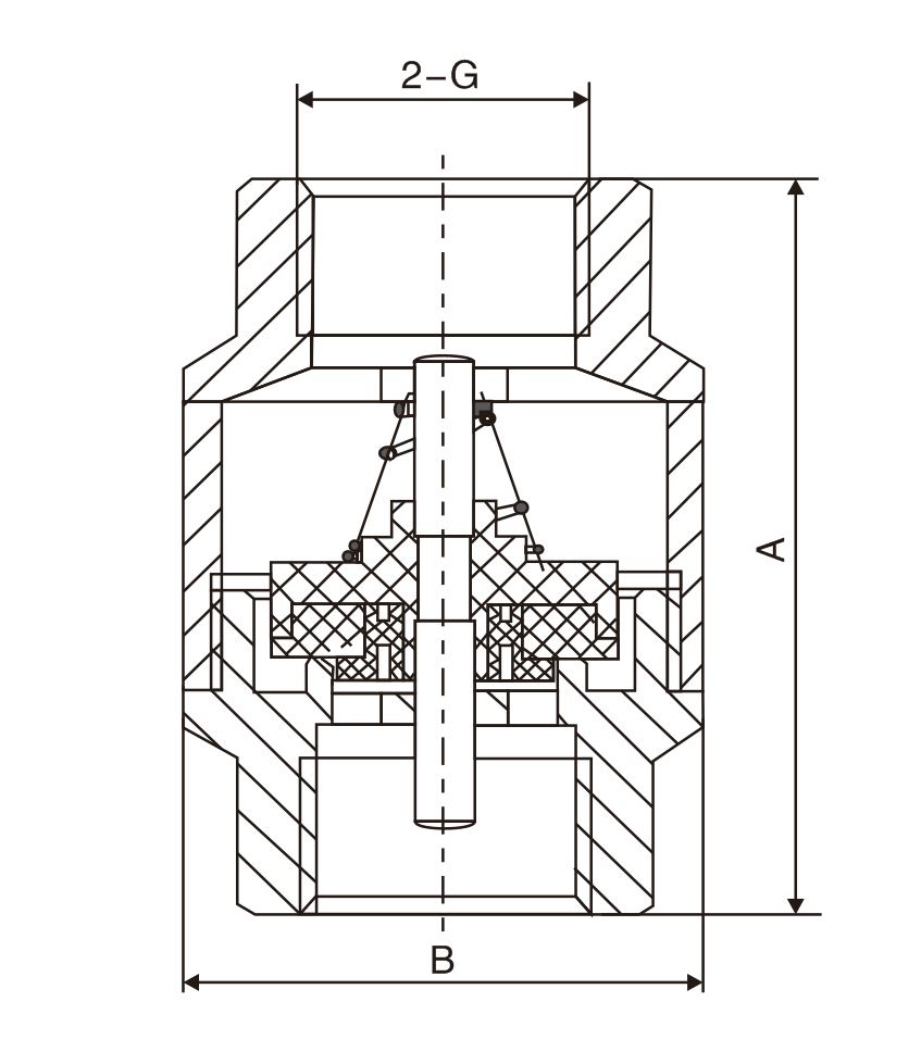 黃銅(tóng)立式止(zhi)回閥(圖(tú)1)
