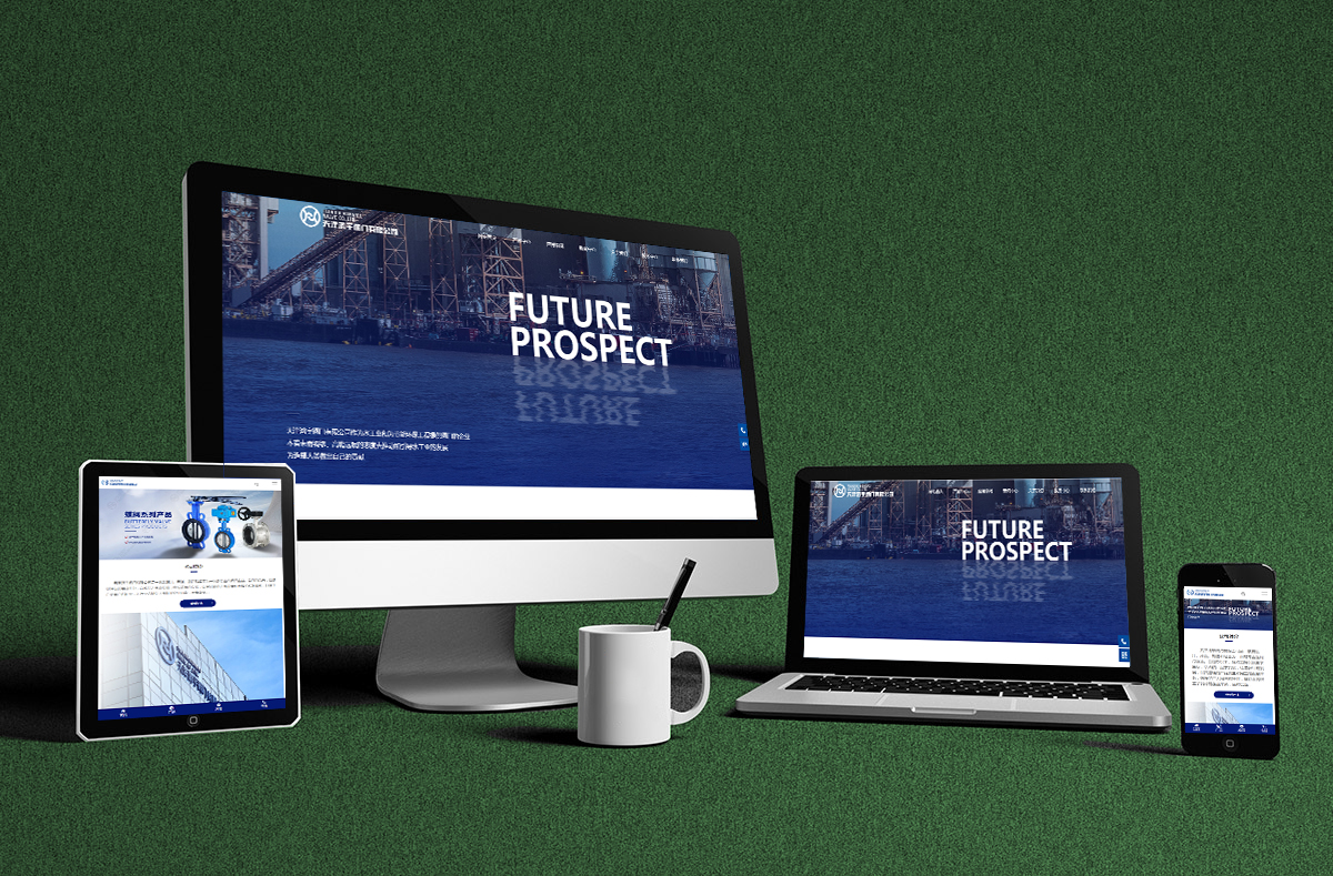 熱烈慶賀(he)南京博高(gāo)閥門有限(xian)公司網站(zhàn)正式開通(tong)