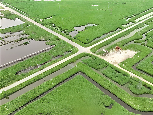 打造綠(lǜ)色低碳油田 做(zuò)綠色發展的“頂(ding)梁柱”